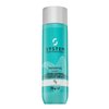 System Professional Inessence Shampoo smoothing shampoo for coarse and unruly hair 250 ml