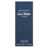 Davidoff Cool Water Intense parfémovaná voda pre mužov 75 ml