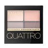 Eveline Quattro Professional Eyeshadow Palette paletka očních stínů 12 7,2 g