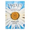 Yardley Flowerful Collection English Daisy toaletná voda pre ženy 50 ml