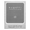 Bugatti Signature Grey Eau de Toilette voor mannen 100 ml