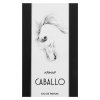 Armaf Caballo Pour Homme Eau de Parfum voor mannen 100 ml