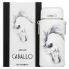 Armaf Caballo Pour Homme woda perfumowana dla mężczyzn 100 ml