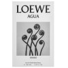 Loewe Agua de Loewe Miami Eau de Toilette uniszex 100 ml