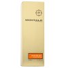 Montale Aoud Melody Парфюмна вода унисекс Extra Offer 4 100 ml