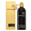 Montale Oud Island parfémovaná voda unisex 100 ml