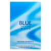 Antonio Banderas Blue Seduction Wave Eau de Toilette für Herren 100 ml