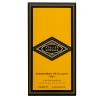 Versace Gingembre Petillant parfémovaná voda unisex Extra Offer 2 100 ml