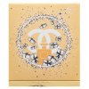 Chanel No.5 Limited Edition Eau de Parfum femei Extra Offer 2 100 ml