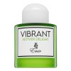 Emir Vibrant Vetiver Delight Eau de Parfum unisex Extra Offer 100 ml