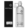 Montale Vanilla Absolu parfémovaná voda pro ženy Extra Offer 3 100 ml