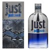 Roberto Cavalli Just Cavalli Him 2013 toaletná voda pre mužov Extra Offer 3 90 ml