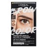 L´Oréal Paris Brow Color Semi-Permanent Eyebrow Tint polpermanentna barva za obrvi 5.0 Brunette