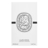 Diptyque Eau de Lierre Eau de Toilette für Damen Extra Offer 2 100 ml