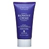 Alterna Caviar Styling Anti-Aging Perfect Blowout Creme styling cream for heat treatment of hair 75 ml