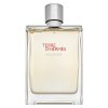 Hermès Terre d’Hermès Eau Givrée - Refillable Eau de Parfum voor mannen 175 ml