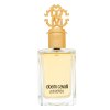 Roberto Cavalli Paradiso Eau de Parfum femei 100 ml