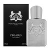 Parfums de Marly Pegasus Eau de Parfum voor mannen 75 ml
