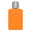 Parfums de Marly Perseus Eau de Parfum für Herren 125 ml