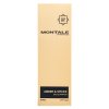 Montale Amber & Spices parfémovaná voda unisex 50 ml