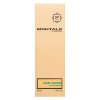 Montale Aoud Lagoon parfumirana voda unisex 50 ml