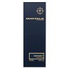 Montale Infinity parfémovaná voda unisex 100 ml