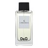 Dolce & Gabbana D&G L'Amoureaux 6 toaletní voda pro muže 100 ml