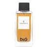 Dolce & Gabbana D&G L'Empereur 4 toaletní voda pro muže 100 ml