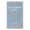 Dolce & Gabbana Light Blue Pour Homme Eau de Toilette bărbați 40 ml