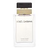 Dolce & Gabbana Pour Femme (2012) Eau de Parfum for women 50 ml