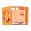 Yankee Candle Mango Ice Cream 37 g