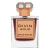 French Avenue Divin Aoud parfémovaná voda unisex 100 ml