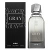 Ajmal Gray parfémovaná voda pro muže 100 ml