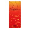 Ajmal Magnifica parfumirana voda unisex 100 ml