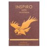 Riiffs Inspiro Men Eau de Parfum da uomo 100 ml