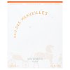 Hermes Eau des Merveilles dezodorant z atomizerem dla kobiet 100 ml