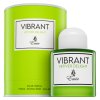 Emir Vibrant Vetiver Delight woda perfumowana unisex 100 ml