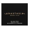 Anastasia Beverly Hills Blush Trio fard de obraz sub forma de pudra Peachy Love 9 g