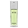 Chanel No.19 Eau de Toilette for women 100 ml