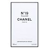 Chanel No.19 Poudré Eau de Parfum da donna 100 ml