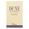 Dior (Christian Dior) Dune pour Homme Eau de Toilette bărbați 100 ml