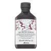 Davines Natural Tech Replumping Shampoo odżywczy szampon do włosów suchych i łamliwych 250 ml