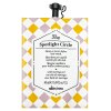 Davines The Spotlight Circle posilující maska pro hebkost a lesk vlasů 50 ml