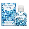 Dolce & Gabbana Light Blue Summer Vibes Pour Homme toaletní voda pro muže 75 ml