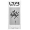 Loewe Pour Homme Eau de Toilette da uomo 50 ml