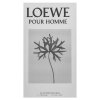 Loewe Pour Homme Eau de Toilette férfiaknak 150 ml