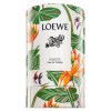 Loewe Paula's Ibiza Eclectic Eau de Toilette unisex 100 ml