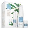 Lakmé K.Therapy Active Pack Set gegen Haarausfall 300 ml + 8 x 6 ml