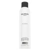 Balmain Dry Shampoo shampoo secco per capelli rapidamente grassi 300 ml