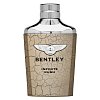 Bentley Infinite Rush toaletní voda pro muže 100 ml